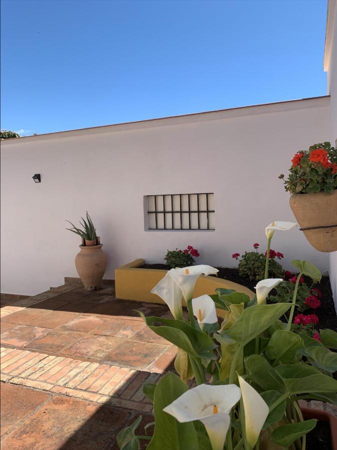 Encantador Apartamento-Centrico-Con Amplio Jardin Torremolinos Exterior photo