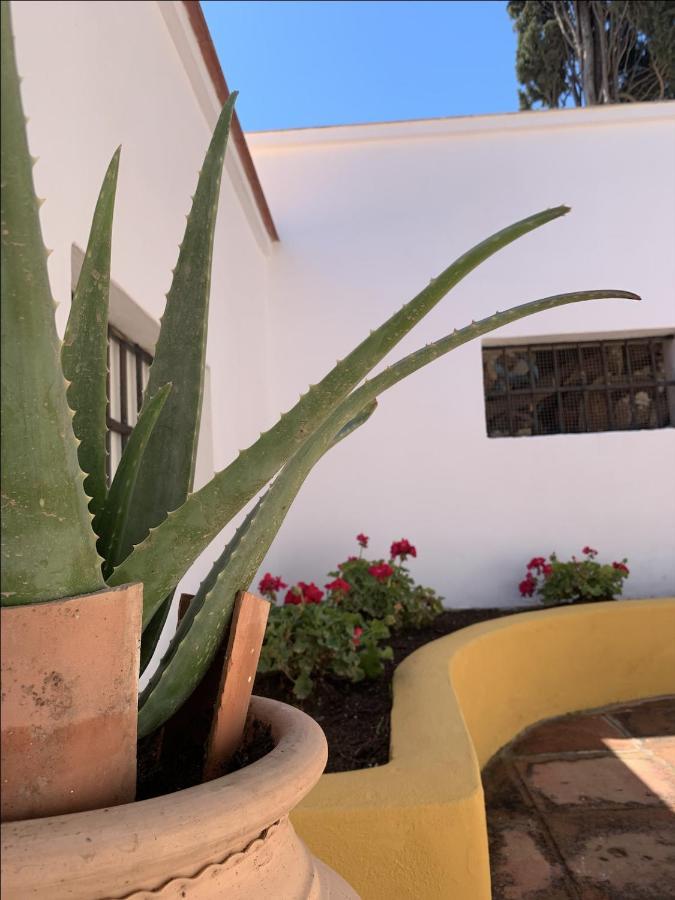 Encantador Apartamento-Centrico-Con Amplio Jardin Torremolinos Exterior photo